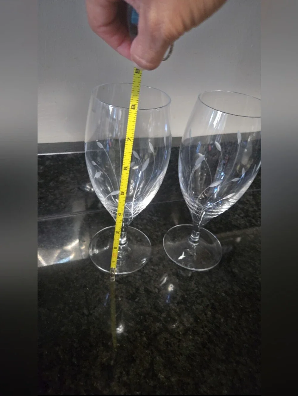 Princess House Clear Etched Floral Stemware Pair